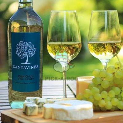 Santa Vinea Pinot Grigio 2016