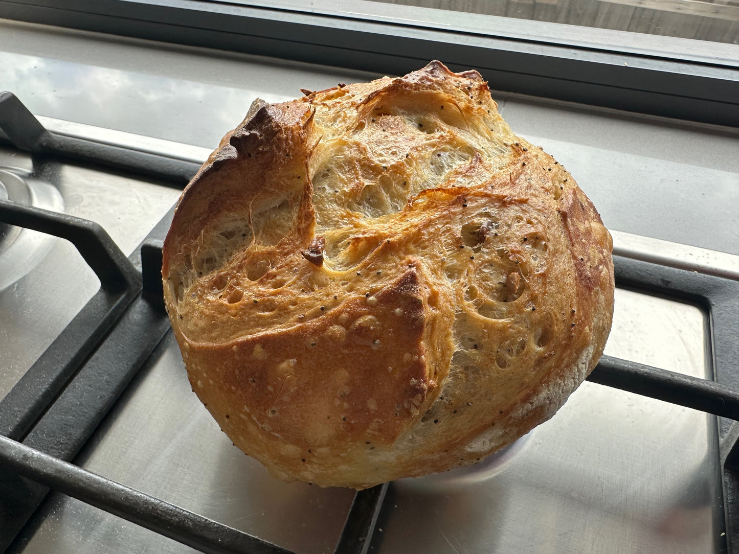 Artisan Sourdough or Chia bread or Brioche freshly baked  - Advance order a day before